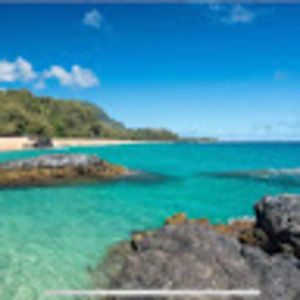 Meet your Posher, Monique